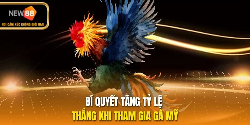 Bí quyết tăng tỷ lệ thắng khi tham gia gà Mỹ