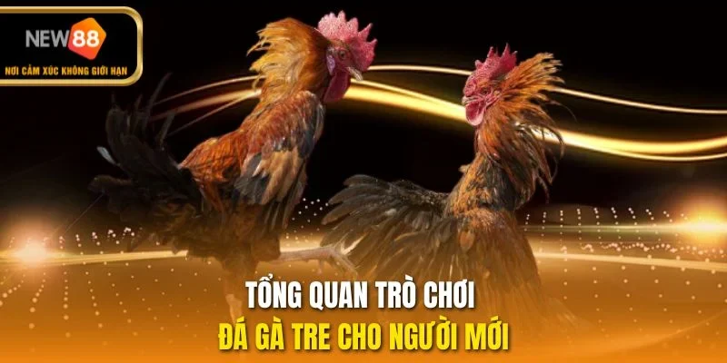 Tổng quan trò chơi đá gà tre cho người mới